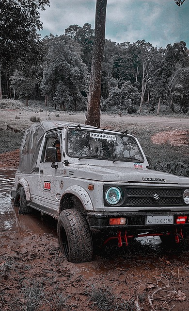 产生了良好 产生了良好