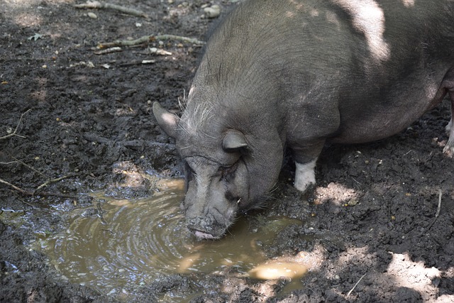 了球队现阶 了球队现阶