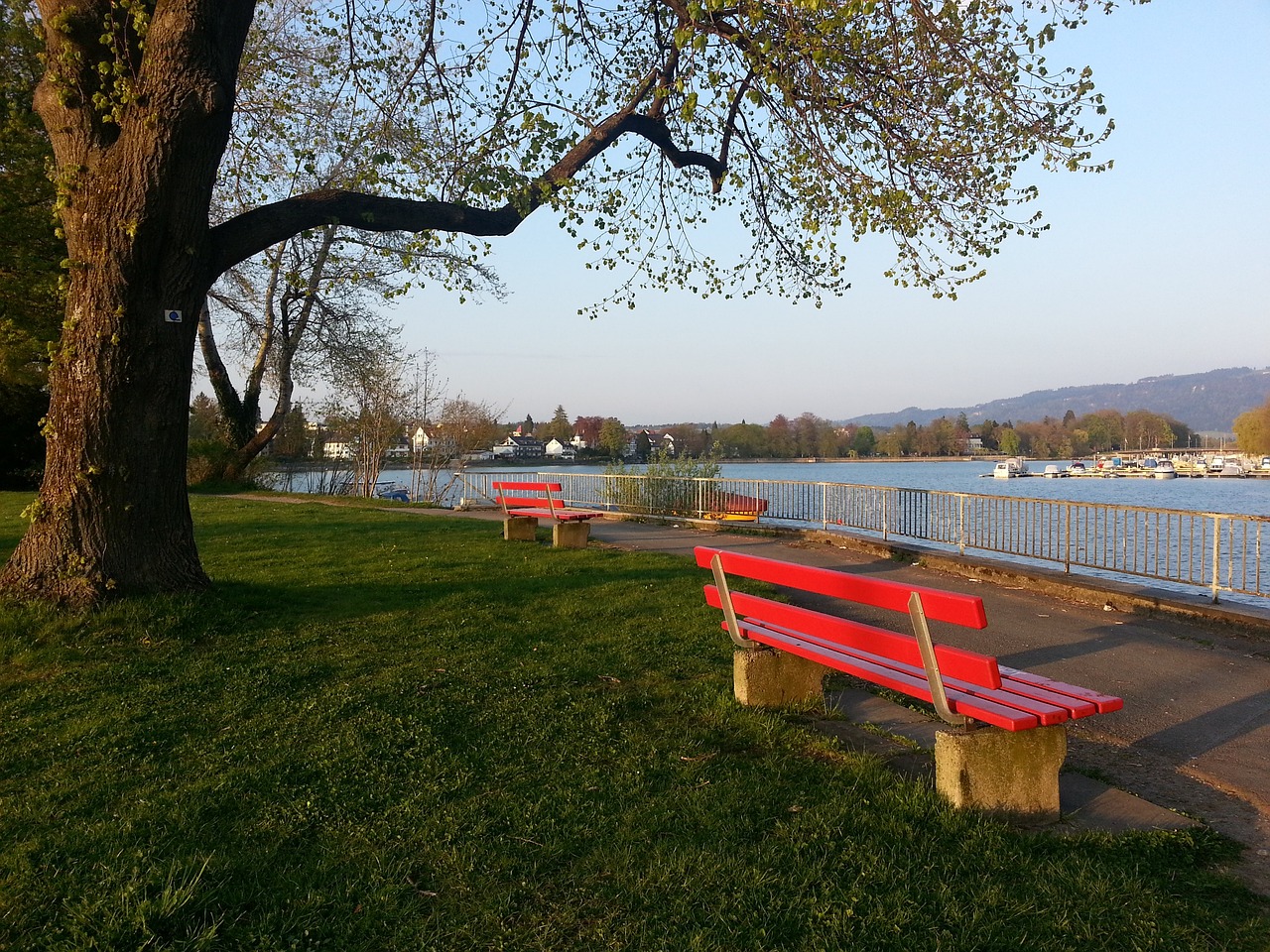 使得掘金的 使得掘金的