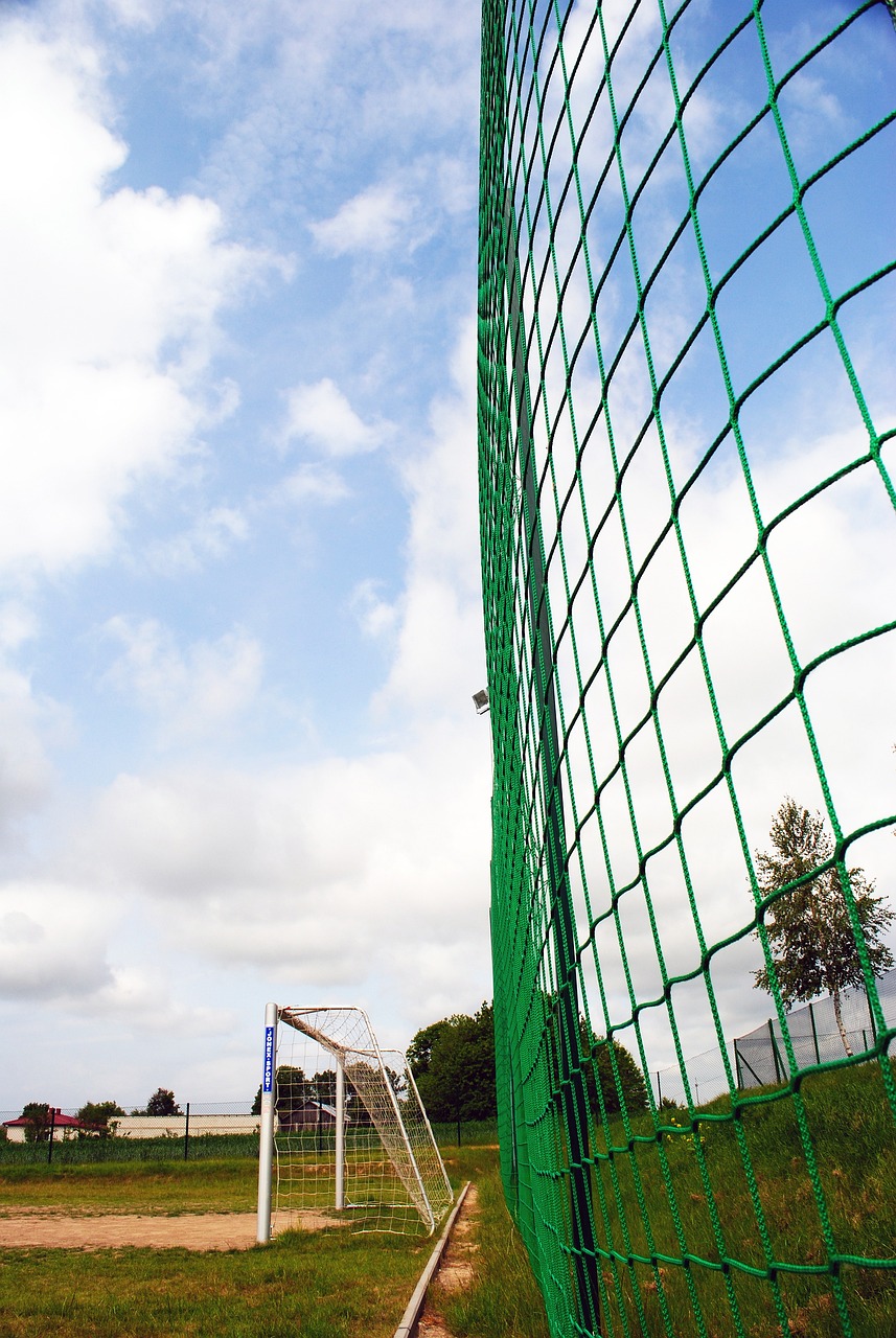 这种从容与 这种从容与